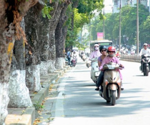 Dự báo thời tiết 3/11: Miền Bắc hanh khô, ngày nắng đêm lạnh