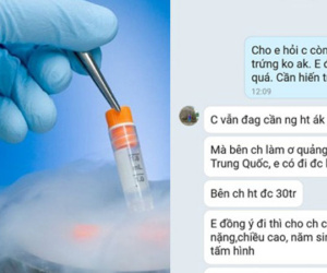 Bán trứng xuyên biên giới: Thót tim hành trình dụ 'siêu cò' lộ mặt