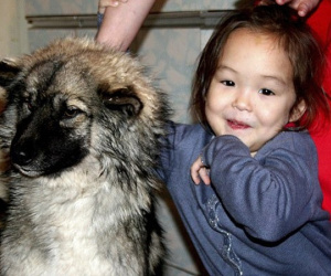 Âm thầm đi theo bố vào rừng rồi bị lạc, bé gái 4 tuổi sống sót trở về sau 12 ngày nhờ chú chó trung thành sưởi ấm mỗi đêm