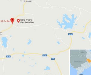 Ảnh minh họa
