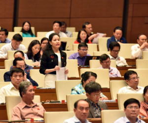 Không đặc xá tội phản quốc, gián điệp