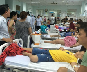 Vụ ngộ độc thực phẩm Tân Phú: Chà bông gà nhiễm tụ cầu vàng