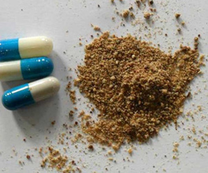 Đường đi ghê rợn của thuốc thịt người Trung Quốc