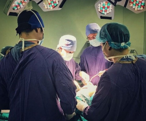 Hiếm gặp: Một phụ nữ bị khỉ nuôi cắn dập nát bàn tay, khó phục hồi vận động