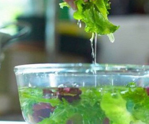 Ngâm rau quả vào nước muối có loại bỏ hoá chất, thuốc trừ sâu? Hãy nghe chuyên gia trả lời