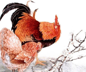 5 con giáp nhận lộc lá ào ào, thu nhập tăng gấp đôi trong nửa cuối tháng 11
