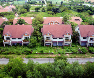 TP.HCM đồng ý giao dự án cầu Cát Lái cho Đồng Nai