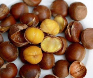 Cảnh báo chảy máu dạ dày bởi món ăn vặt phổ biến mùa lạnh