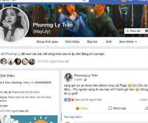 Hàng loạt sao Việt bị đánh sập trang, Facebook nói gì?
