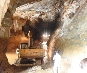 Tìm thấy phu vàng cuối cùng mắc kẹt trên thùng xe tải