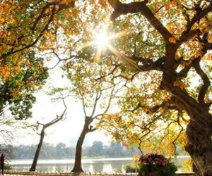 Dự báo thời tiết 16/11: Hà Nội nắng trước khi đón gió mùa đông bắc