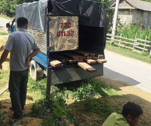 Kiểm lâm nổ súng bắt gỗ lậu, một người trúng đạn