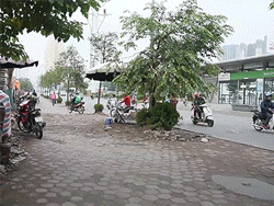 Video Phóng xe ngược chiều trên vỉa hè dù đường không tắc