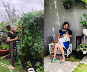 Vườn rau xanh tươi mơn mởn trong biệt thự tiền tỷ do chồng Ốc Thanh Vân trồng 'tặng' 4 mẹ con