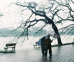 Dự báo thời tiết 19/11: Hà Nội mưa rào, trời chuyển lạnh