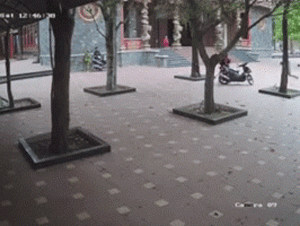 Video: Camera ghi cảnh sư trụ trì truy đuổi, quật ngã kẻ trộm trong chùa