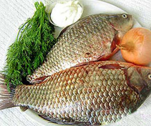 Cá chép - Bổ âm, chữa bệnh phụ nữ