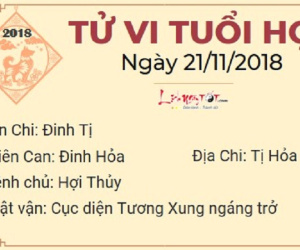 Tử vi thứ 4 ngày 21/11/2018 của 12 con giáp: Dậu tình tiền song thu, Hợi phải đề phòng kẻ thứ 3 chen chân