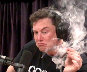 Elon Musk hút cần, SpaceX bị thanh tra an toàn lao động