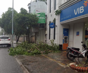 TP.HCM: Cây xanh bị bão quật ngã, hai mẹ con bé trai 6 tuổi thoát chết trong gang tấc