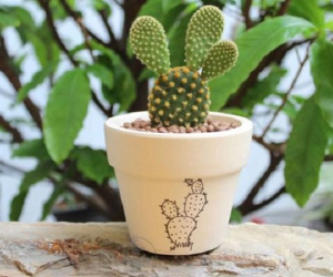 Nếu muốn muôn đời nghèo hèn, làm mãi không có tiền thì cứ mang 7 loại cây này về nhà