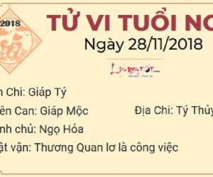 Tử vi thứ 4 ngày 28/11/2018 của 12 con giáp: Tý công danh rộng rãi, Tuất vợ chồng sứt mẻ