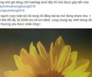 Dậy sóng mạng: Trào lưu đăng ảnh hoa hướng dương ủng hộ 30.000 đồng cho bệnh nhi ung thư