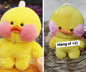 Order chú vịt môi tều hot nhất trên mạng, cô gái suy nhược khi nhận về em vịt mặt xệ