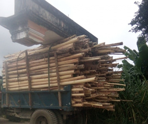 Chở hàng cồng kềnh chưa đủ, tài xế công nông còn chất luôn cả cái cổng làng lên xe
