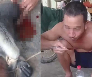 Nam thanh niên đăng ảnh giết khỉ lên facebook 'để ra oai với bạn bè và câu like'