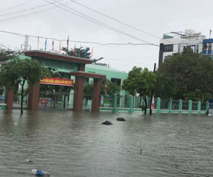 Đà Nẵng cho học sinh, sinh viên toàn thành phố nghỉ học ngày 10-12