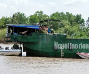 Ảnh minh họa
