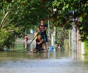 Mưa tạnh từ lâu vẫn lạch bạch trong biển nước