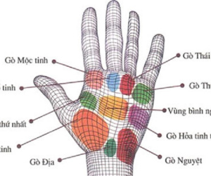 Nhìn gò tay, đoán tính cách, tính tương lai làm chủ hay làm thuê