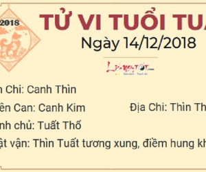 Tử vi thứ 6 ngày 14/12/2018 của 12 con giáp: Dần tình tiền song thu, Mão gia đình lục đục