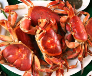 Những loại cua lạ đắt đỏ được khách hàng săn lùng