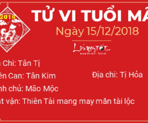 Tử vi Thứ 7 ngày 15/12/2018 của 12 con giáp: Tuất có niềm vui bất ngờ, Thân túng thiếu, lao đao