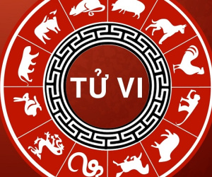 Tử vi 12 con giáp ngày 16/12: Tuổi nào sẽ tiền đầy túi vào hôm nay?