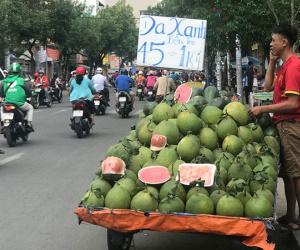 Bưởi da xanh, cam sành giá bèo đồng loạt 'xuống đường' ở Sài Gòn