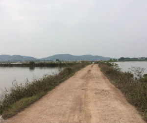 Vụ người phụ nữ đi mua cá nửa đêm bị sát hại ngoài đồng: Người đi cùng nhập viện cấp cứu