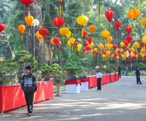 Triển lãm hoa, cây cảnh trăm triệu thu hút người dân Hà Nội
