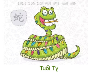 Tuổi Tỵ năm Kỷ Hợi