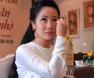 Ca sĩ Hồng Nhung gần như 'sập nguồn' khi ly hôn chồng ngoại quốc