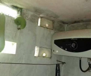 Dở khóc dở cười với kiểu mọc 'khôn nhà dại chợ' của hoa quả trong vườn