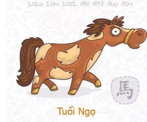 Tuổi Ngọ năm Kỷ Hợi