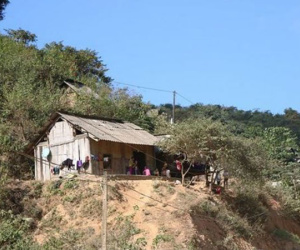Nam thanh niên tử vong nghi do ăn lá ngón ở nhà bố mẹ vợ
