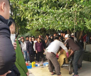 Thanh niên đất Cảng chết co quắp dưới cống nước, nghi bị giết