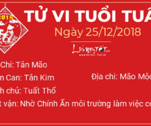 Tử vi Thứ 3 ngày 25/12/2018 của 12 con giáp: Dần được thần tài ghé thăm, Thân gặp nạn Kiếp Tài