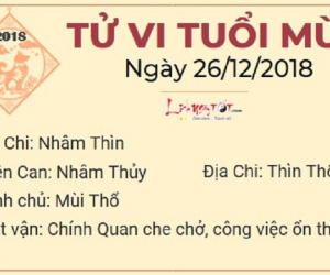 Tử vi thứ 4 ngày 26/12/2018 của 12 con giáp: Dần tình tiền song thu, Tuất bị tiểu nhân hãm hại