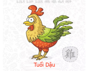 Tuổi Dậu năm Kỷ Hợi